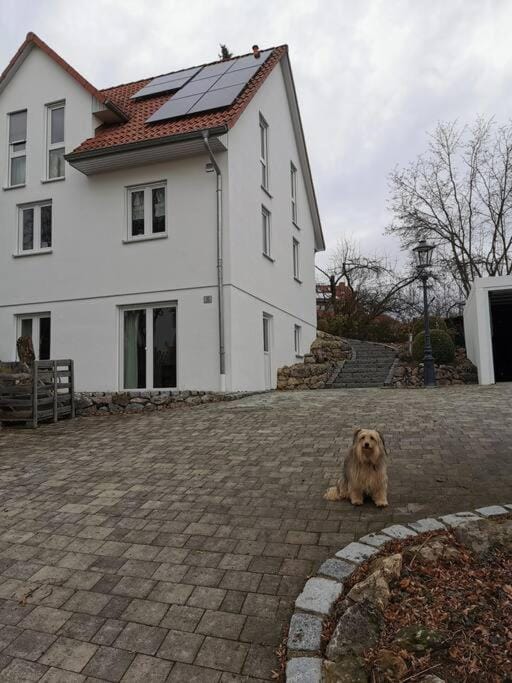 Property building, Facade/entrance, Pets