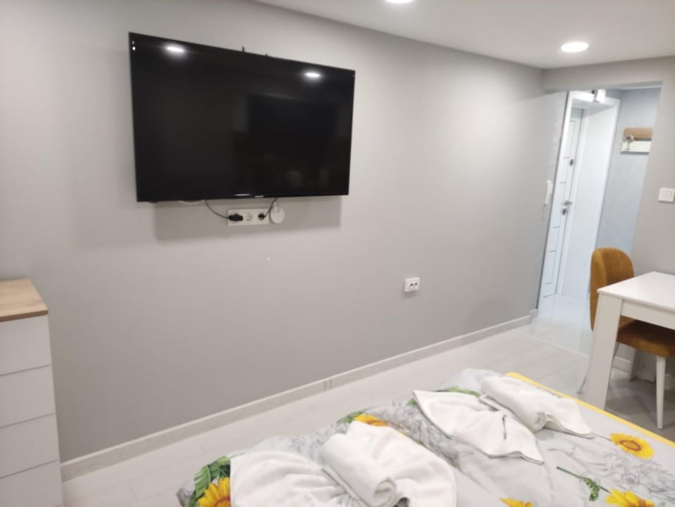 TV and multimedia