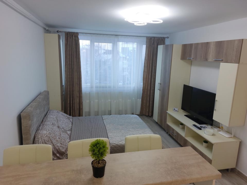RG Garsoniera Central Apartment in Romania