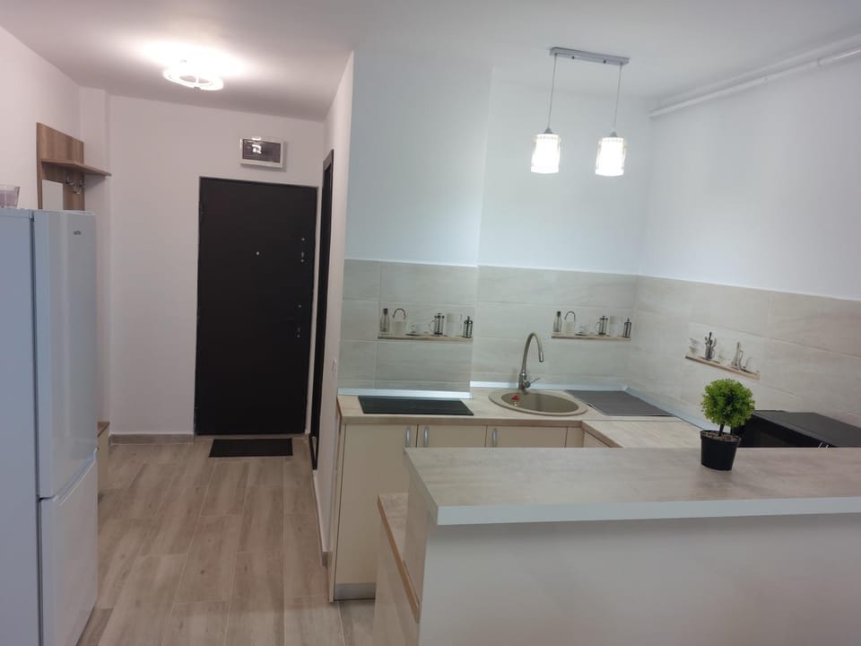 RG Garsoniera Central Apartment in Romania