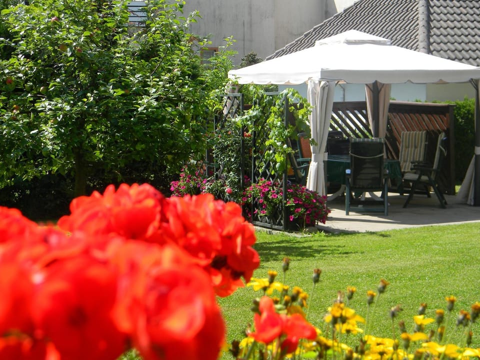 Patio, Spring, Balcony/Terrace