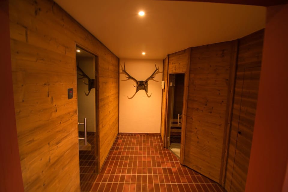 Hotel Jungfrau Hotel in Canton of Valais