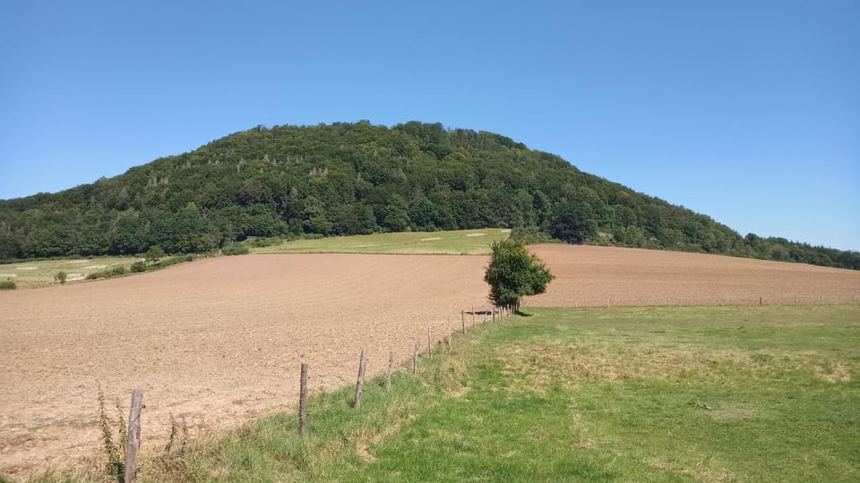 Summer, View (from property/room)
