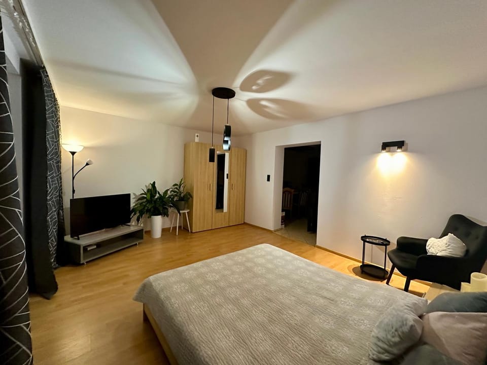 Communal lounge/ TV room, Bed, TV and multimedia, Living room, Photo of the whole room, Evening entertainment, Bedroom