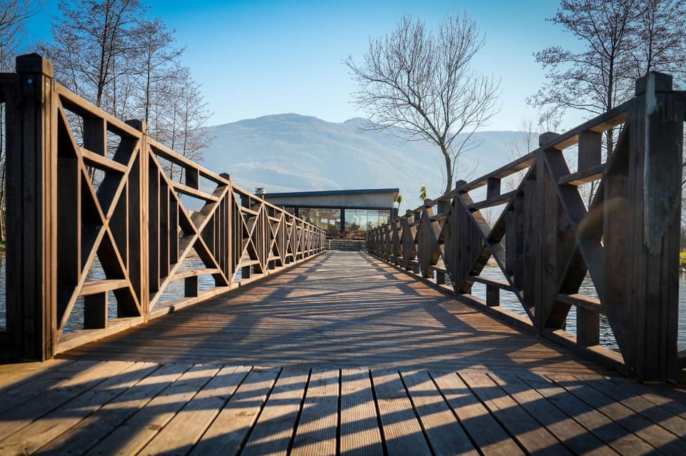 Natural landscape, Lake view, Mountain view, River view