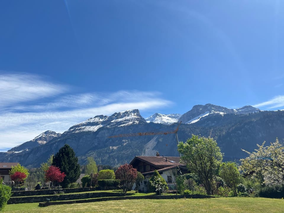 Mountain view