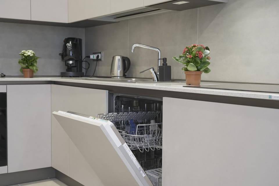 Kitchen or kitchenette, dishwasher, stove