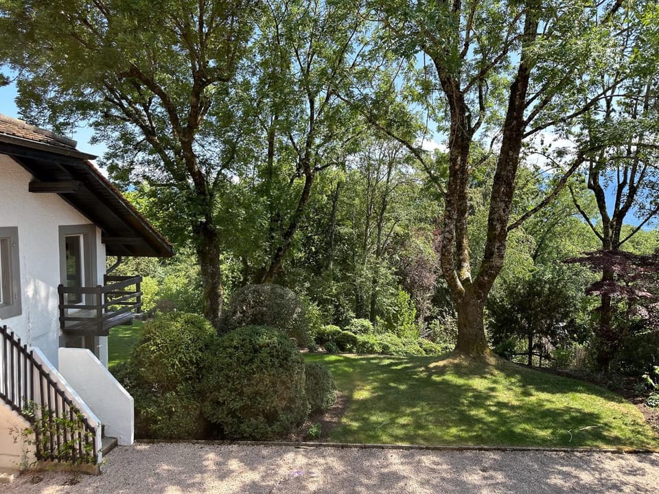Garden, Garden view