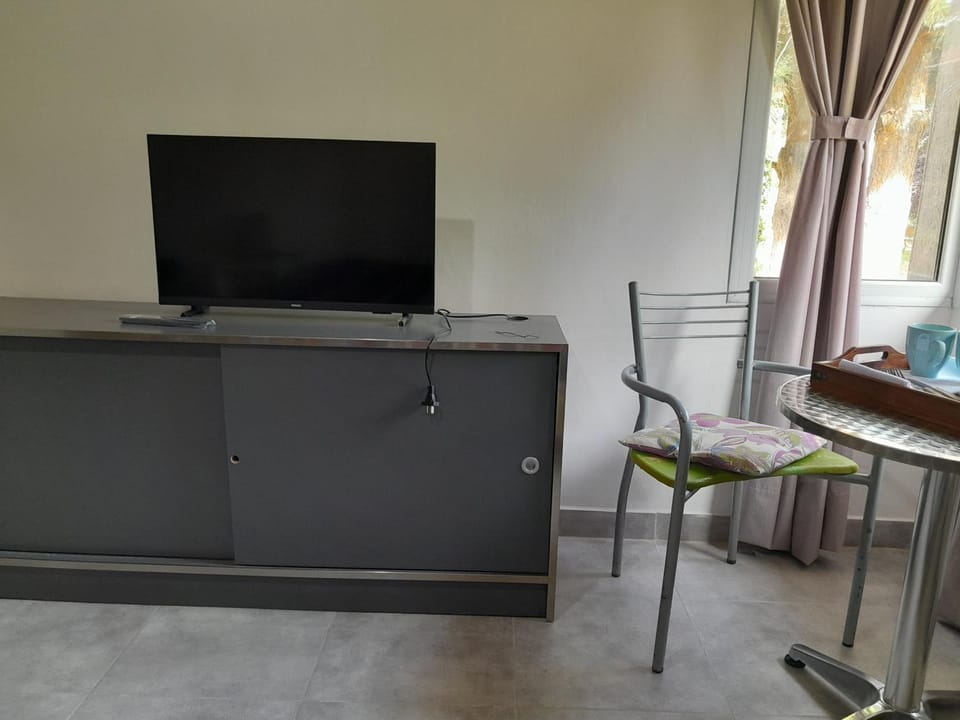 TV and multimedia, Evening entertainment