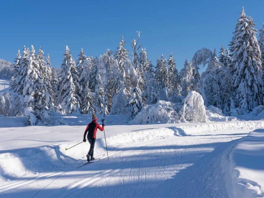 Winter, Skiing