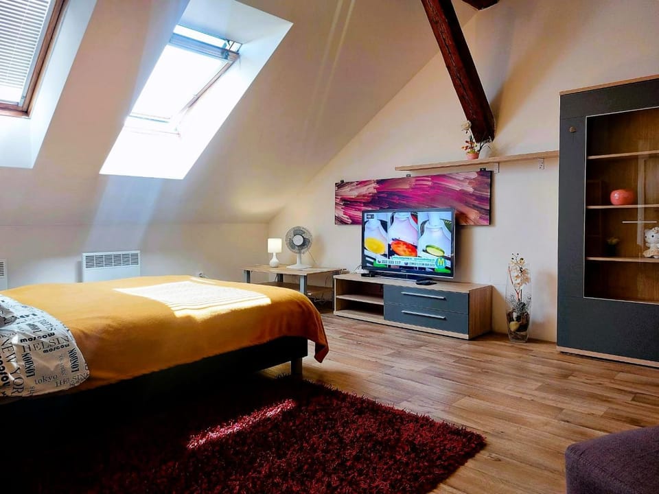 Communal lounge/ TV room, Bed, TV and multimedia, Photo of the whole room, Evening entertainment, Bedroom