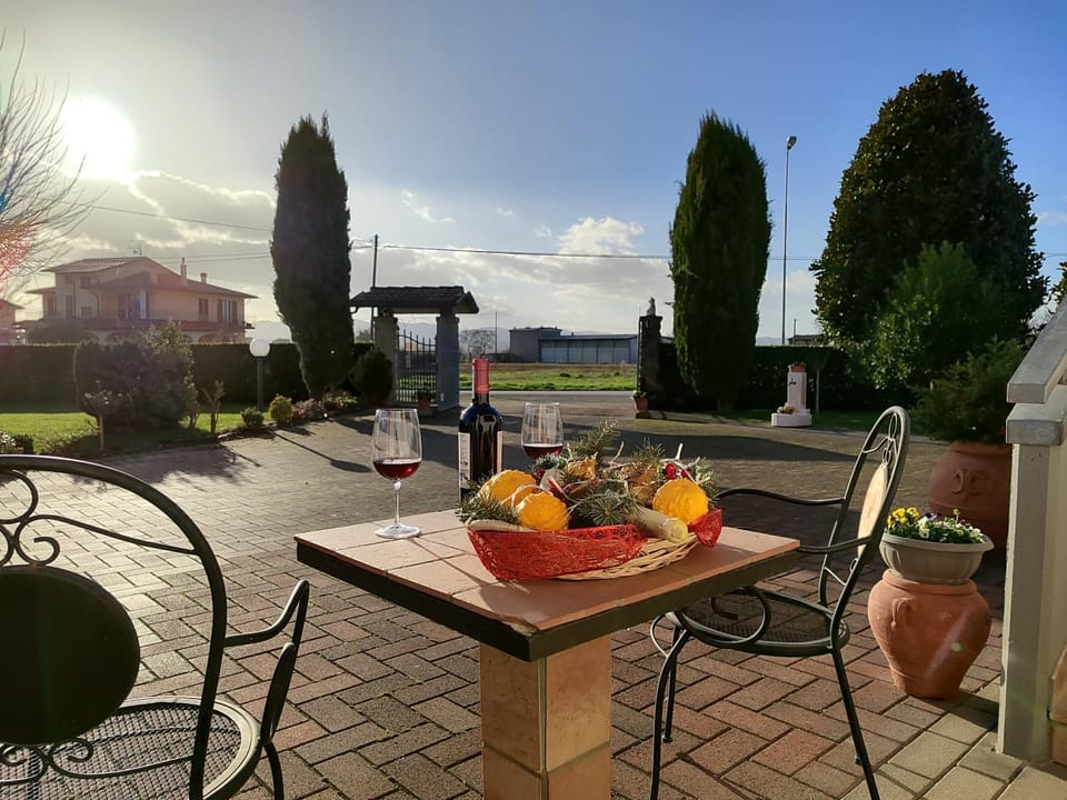 Patio, Garden, Garden view