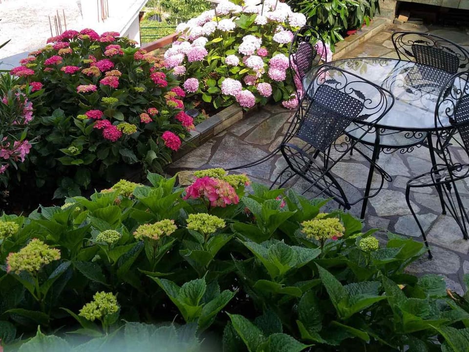 Day, View (from property/room), Garden view