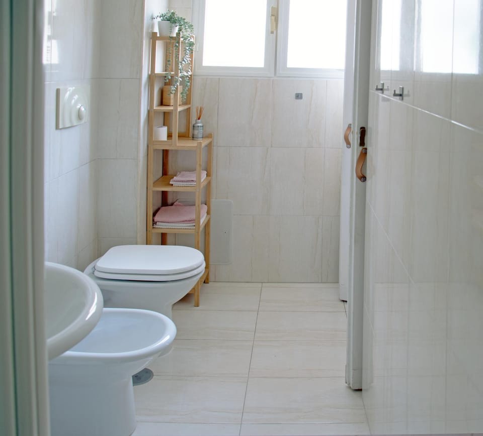 Shower, Toilet, Bathroom, bidet