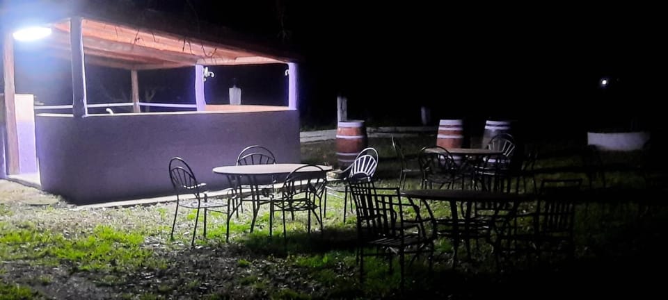 Night, Garden view