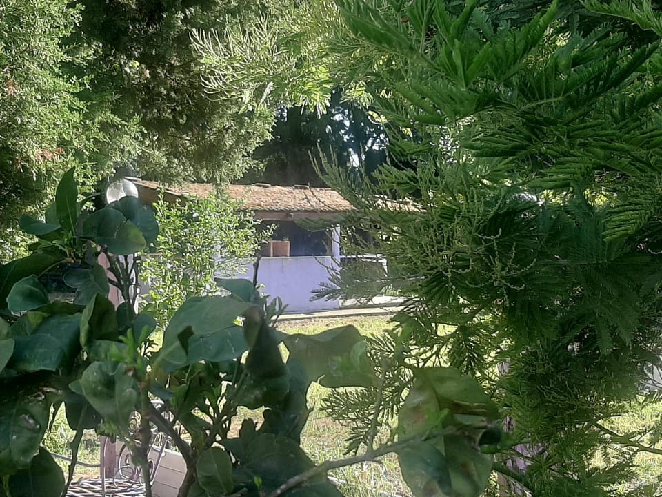 Garden, Garden view