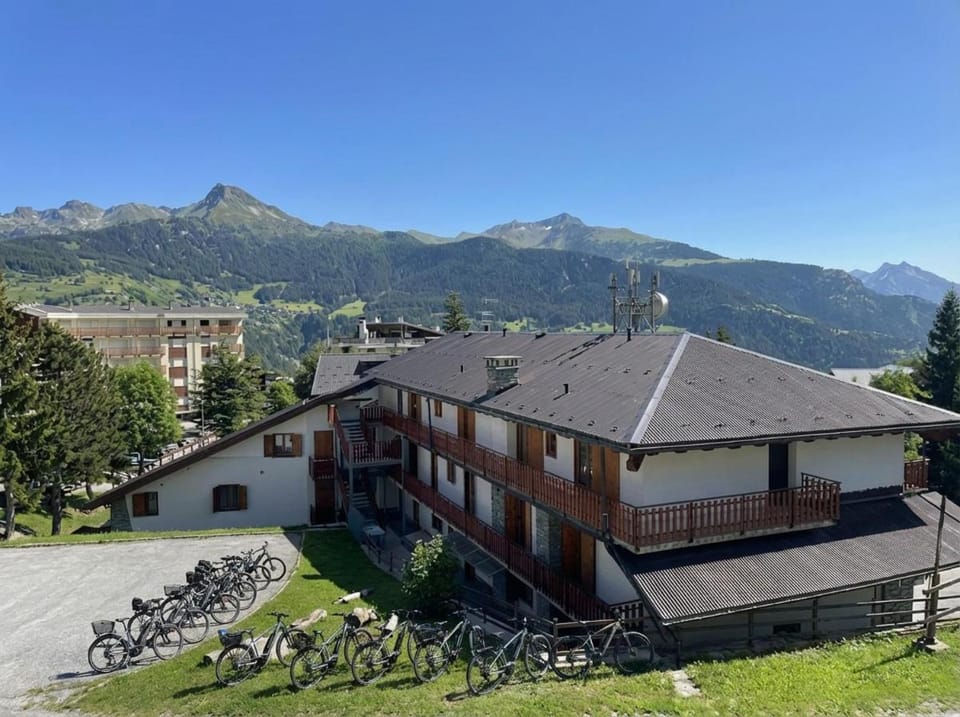 Property building, Summer