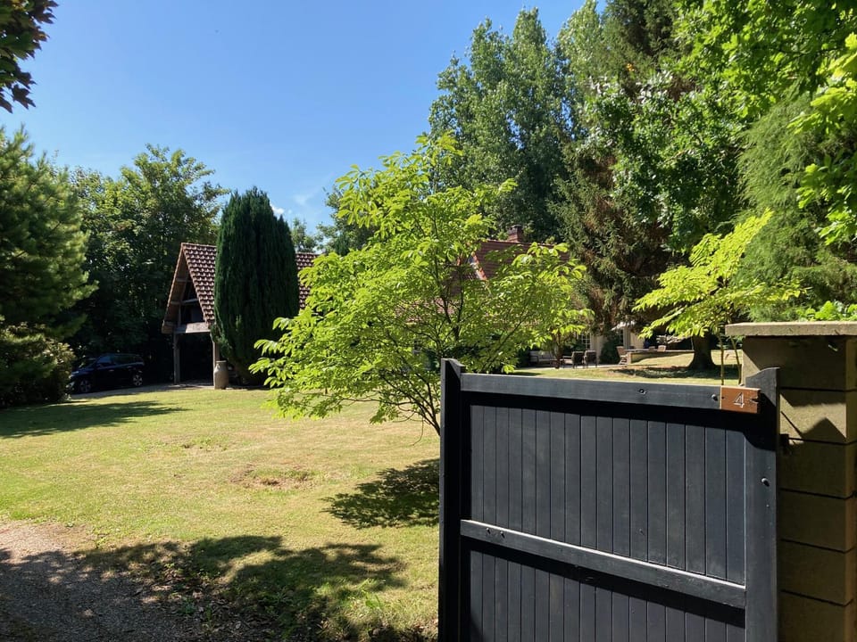 Patio, Garden, Garden view
