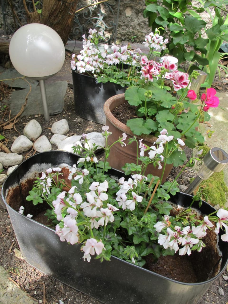 Spring, Garden, Garden view