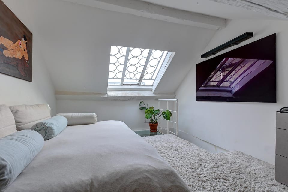 Pretty Parisian Penthouse Apartment in Paris