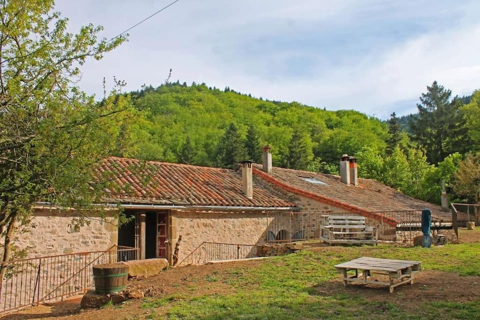 Property building, Garden view