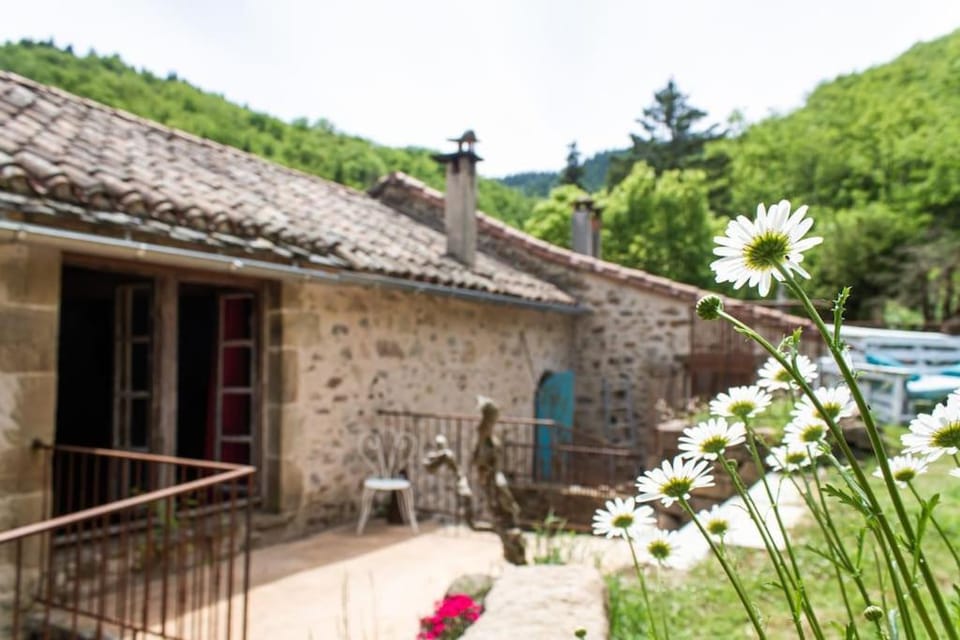 Property building, Garden, Mountain view