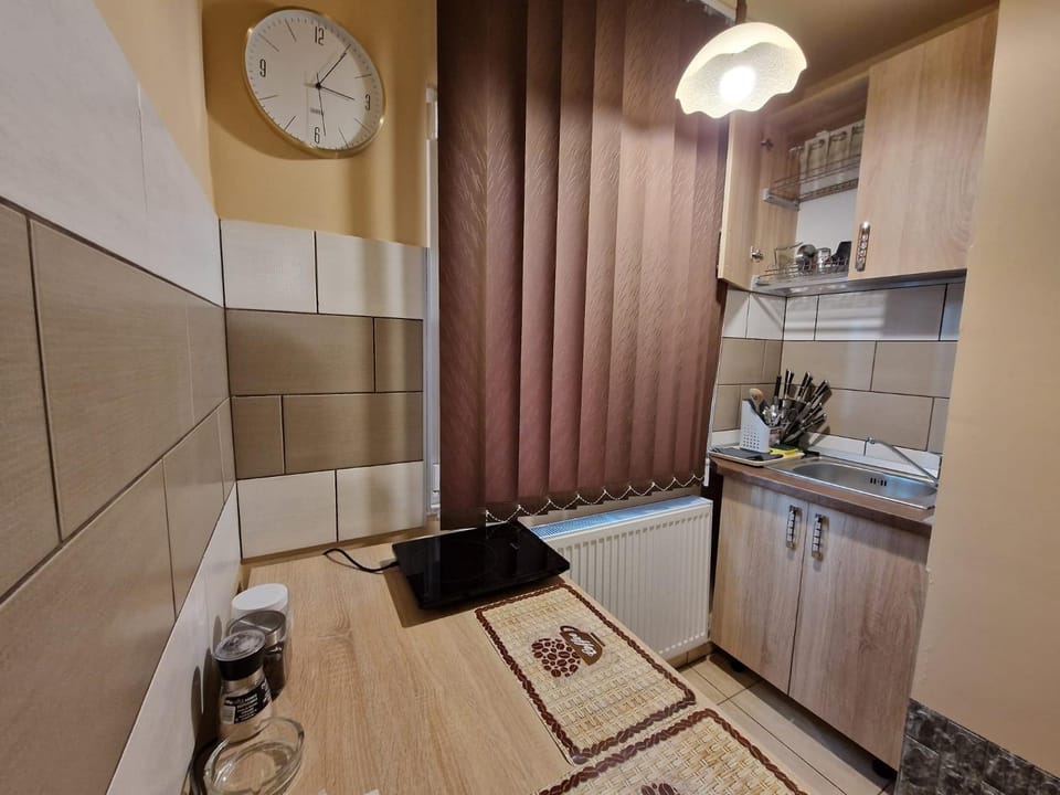 Kitchen or kitchenette, kitchen