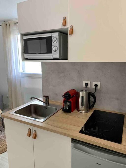 Studio Le Pensier - Monplaisir Apartment in Lyon