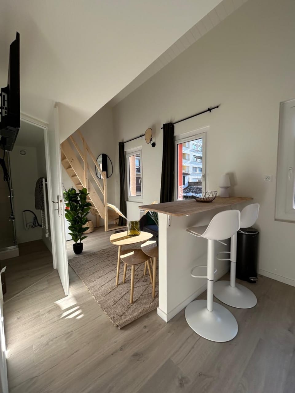 Living room, kitchen