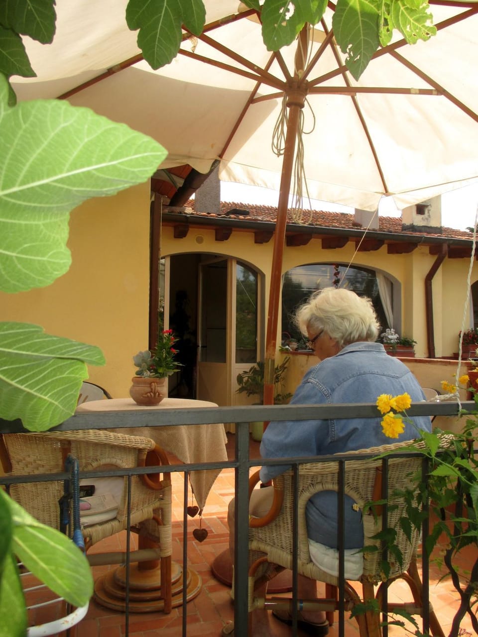 Balcony/Terrace