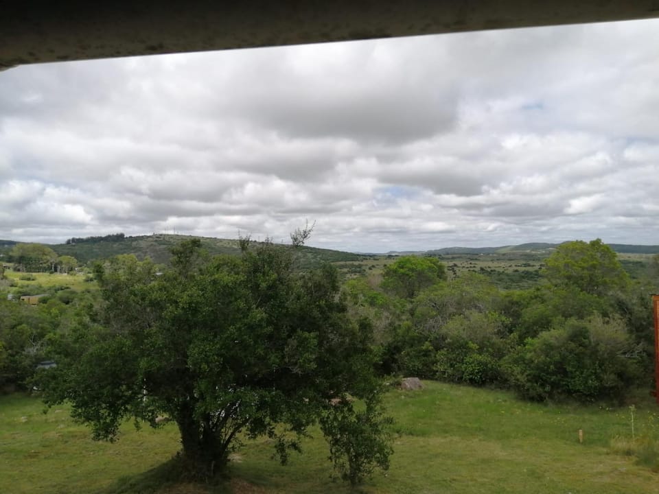 Natural landscape