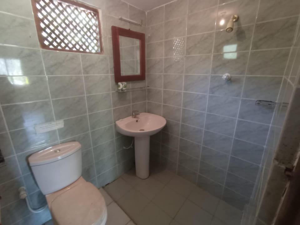 Shower, Toilet, Bathroom, bidet