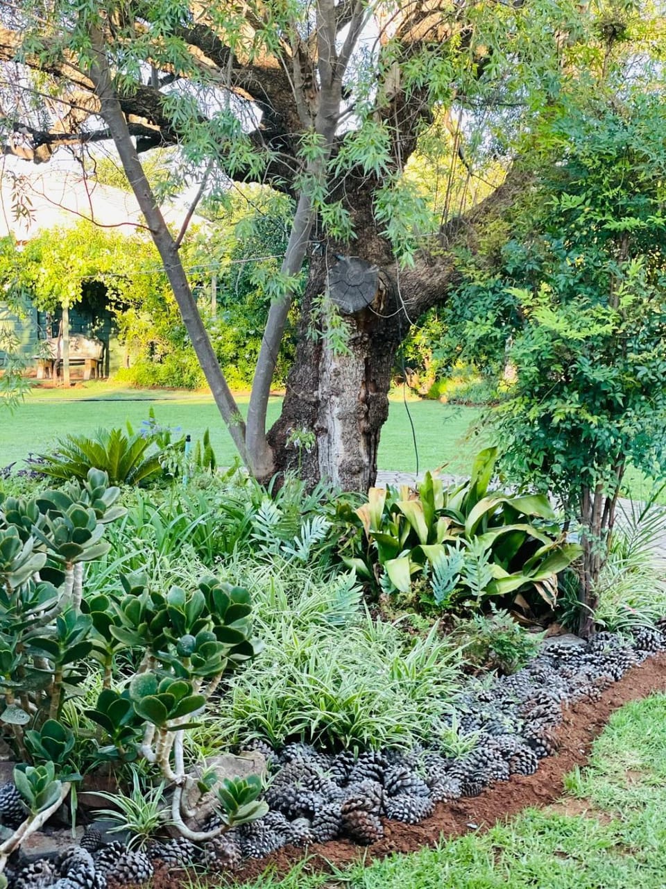 The M-Pire Cottage Bed and Breakfast in South Africa