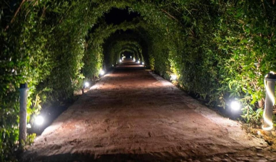 Restaurant/places to eat, Spring, Night, Natural landscape, Children play ground, Children play ground, Garden, Beach, Garden view