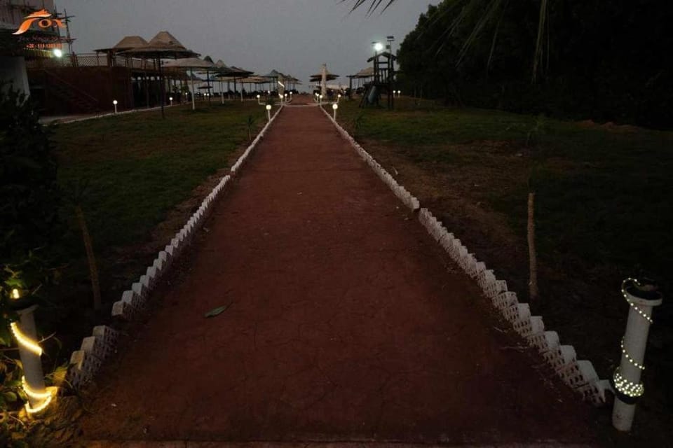 Property building, Restaurant/places to eat, Night, Neighbourhood, Natural landscape, Children play ground, Garden, Beach, Beach, Kids's club, Garden view, Sunrise, Sunset