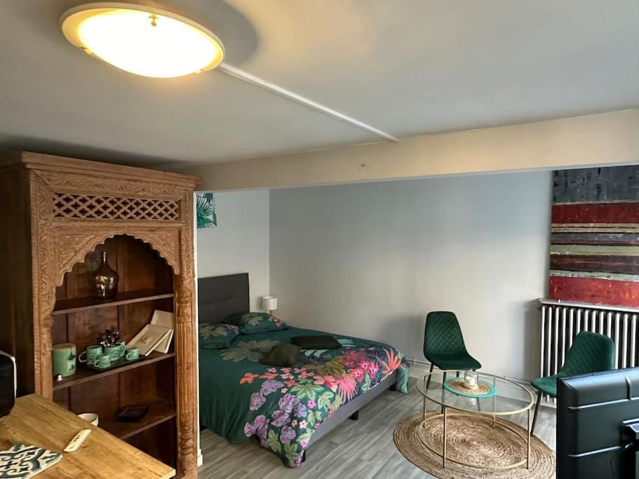 Studio indépendant avec jardin Chalet in Tours