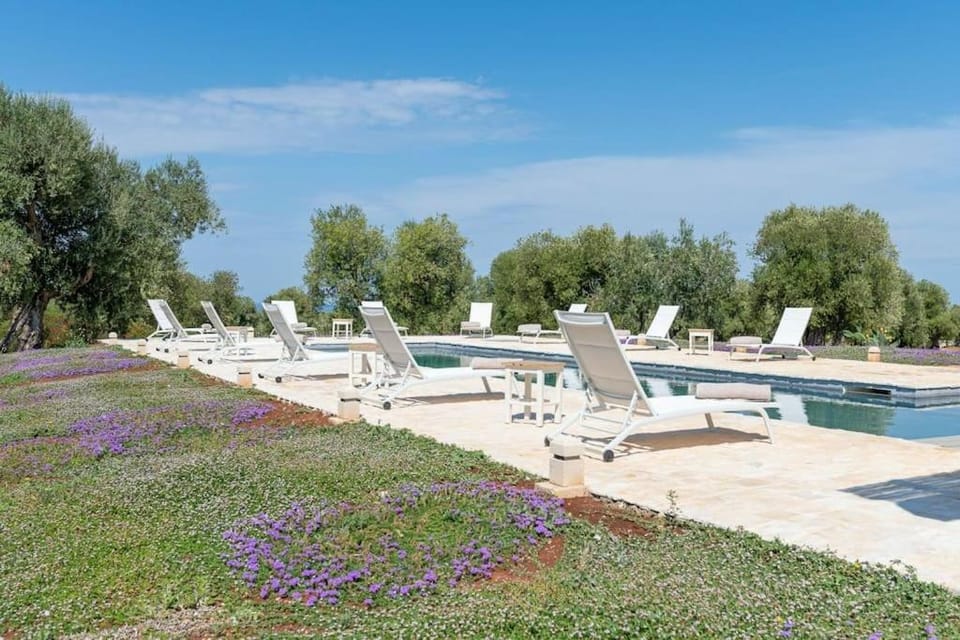 Day, Natural landscape, Garden, Garden view, Pool view, Swimming pool, sunbed
