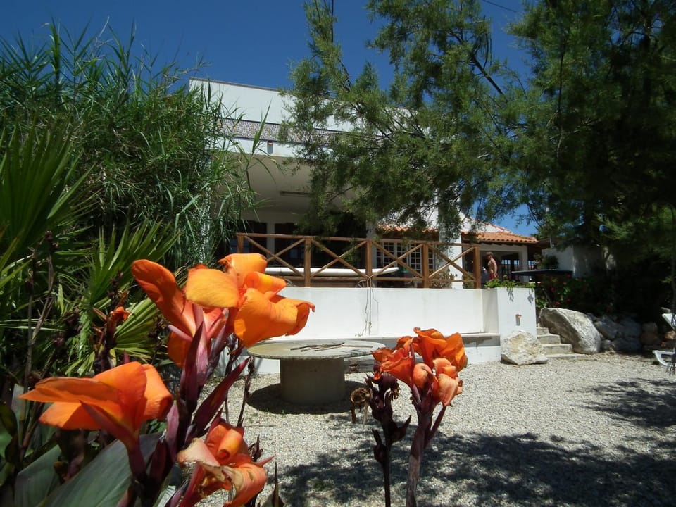 Property building, Balcony/Terrace