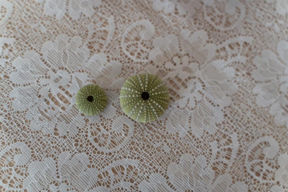 Decorative detail