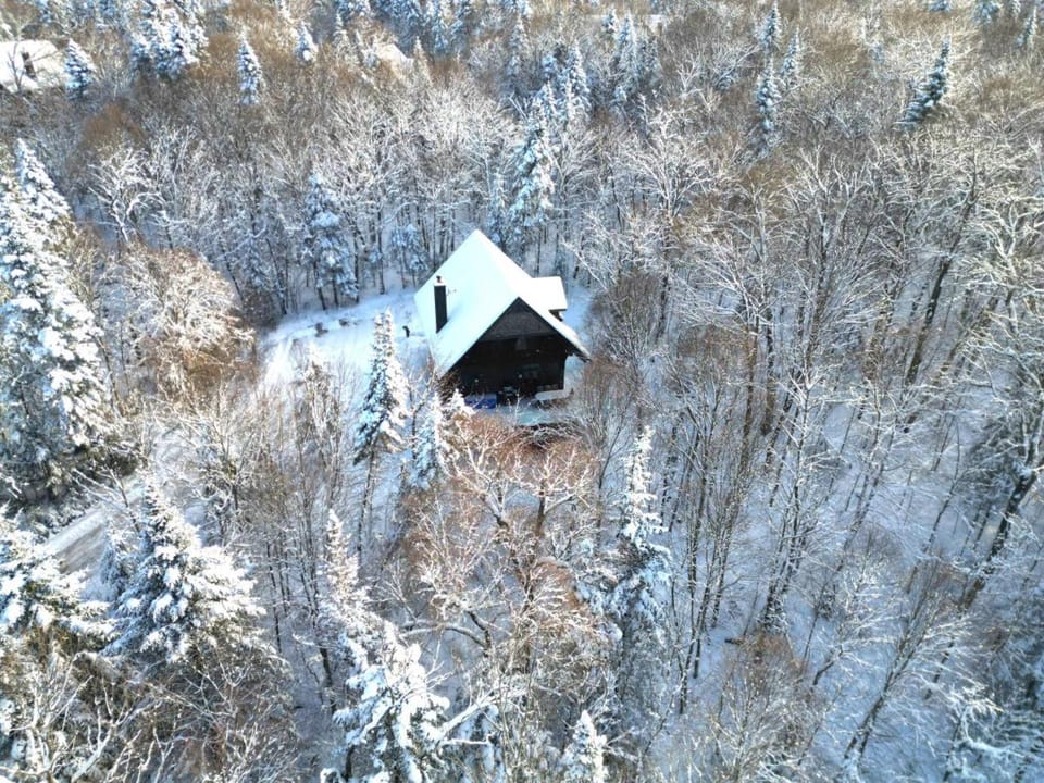 Nature and Relaxation await for you at Eko Chalet 59 Chalet in Ontario