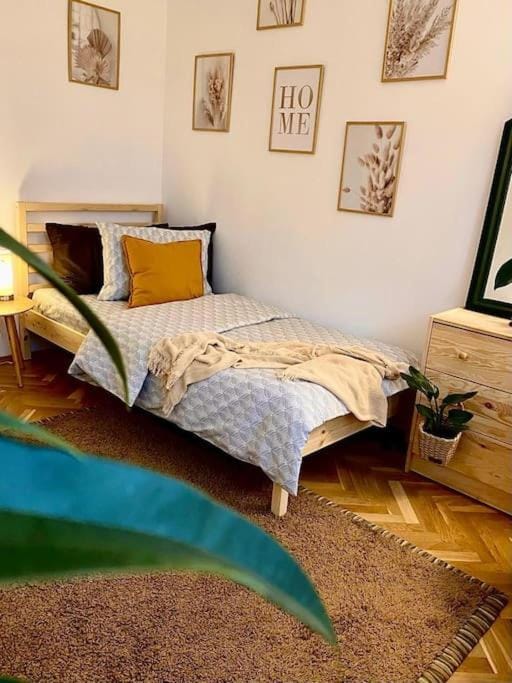 Apartament Universitate UMFST Apartment in Romania