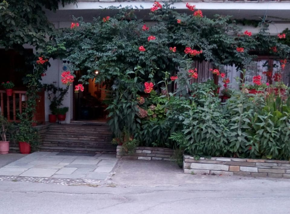 Facade/entrance, Garden