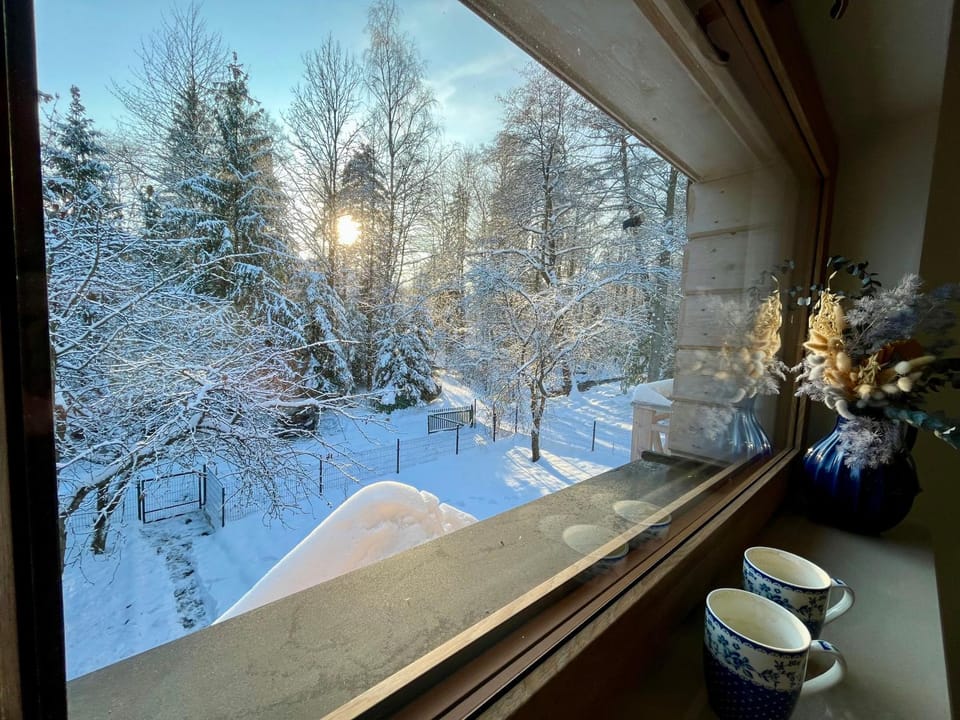 Natural landscape, Winter, Garden, View (from property/room)