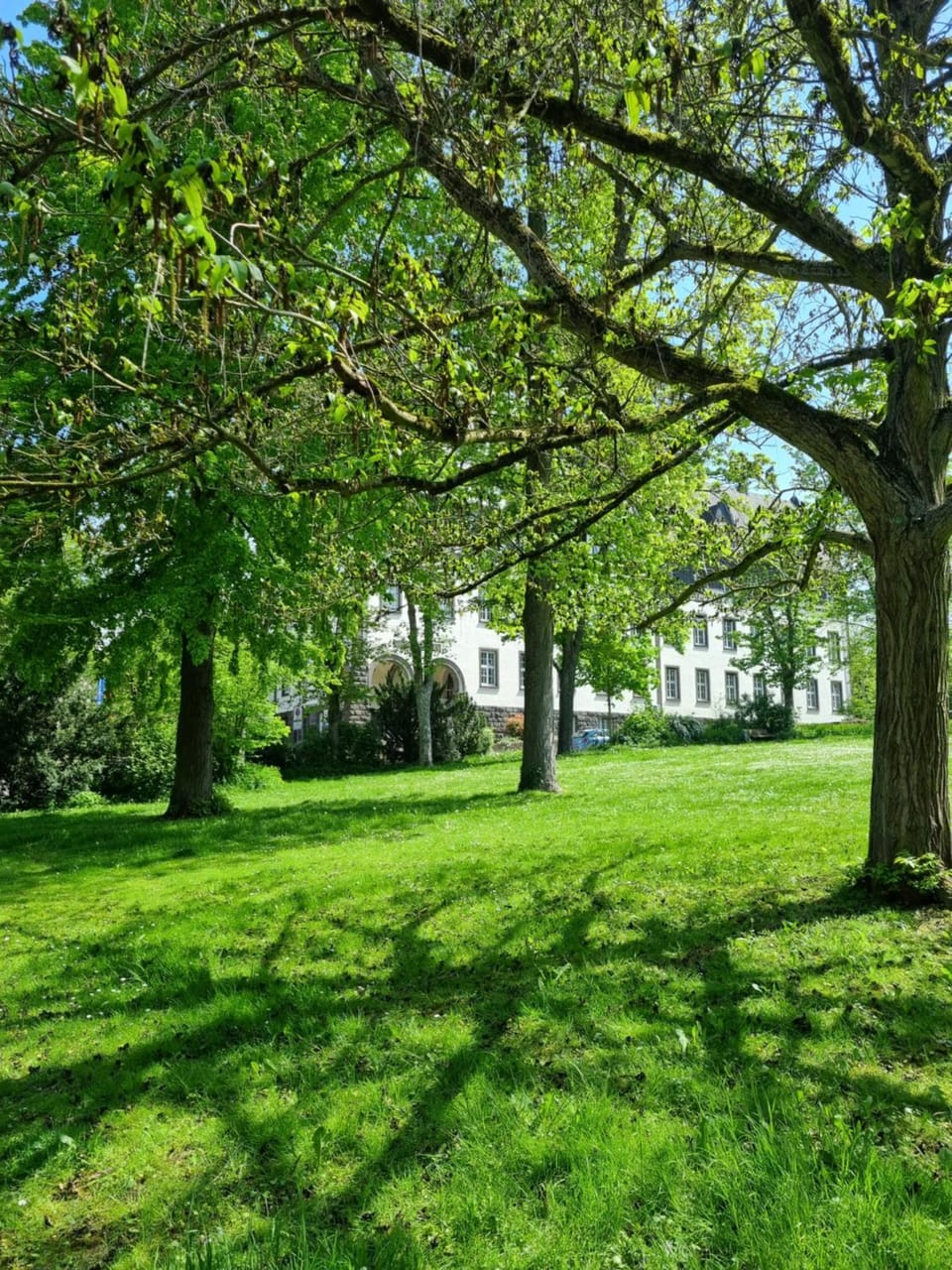 Property building, Natural landscape, Garden view