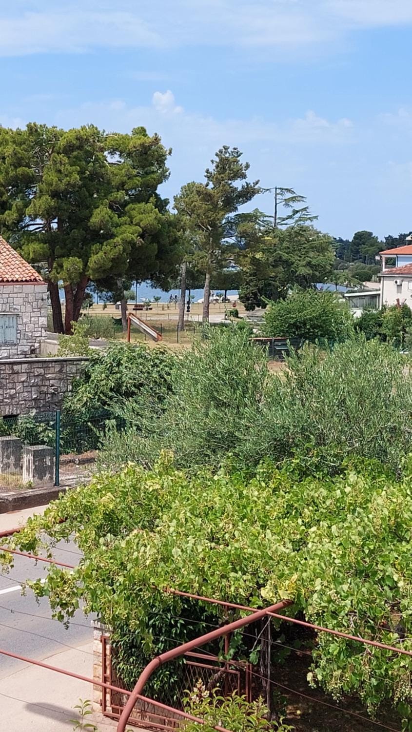 Apartments Katarina Apartment in Istria County