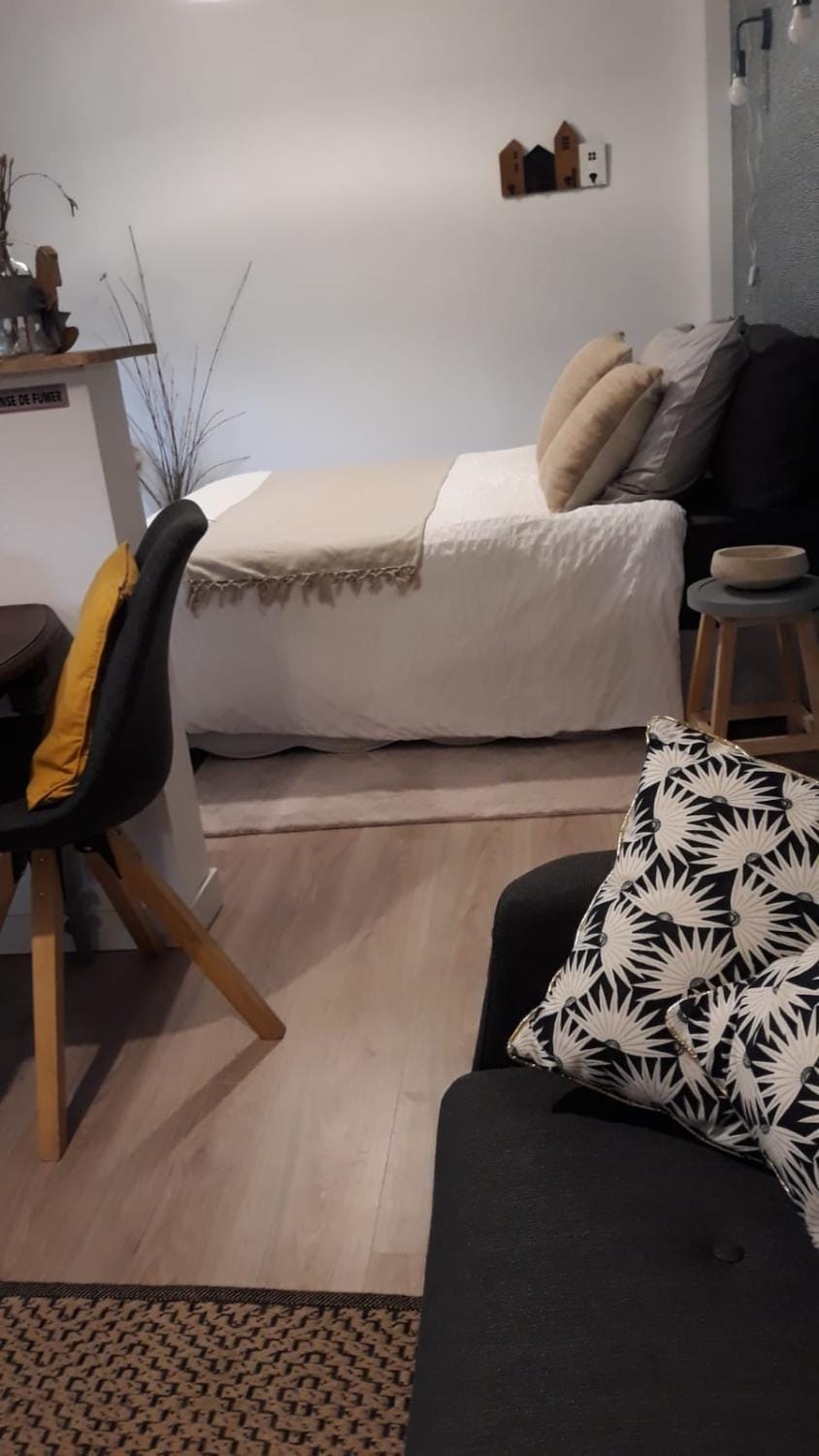 Bed, Living room, Photo of the whole room, Seating area, Bedroom