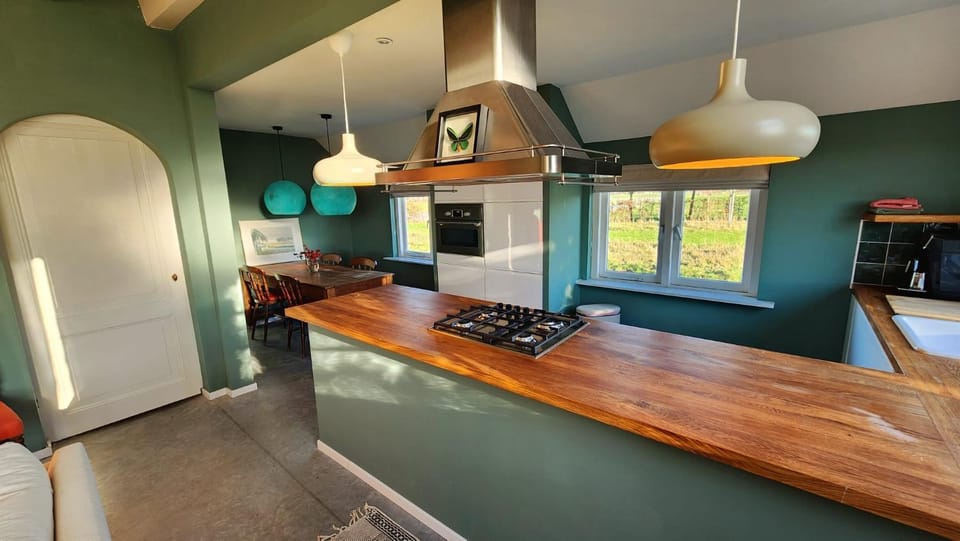 Kitchen or kitchenette, Dining area, dishwasher, minibar, oven, pet friendly, stove