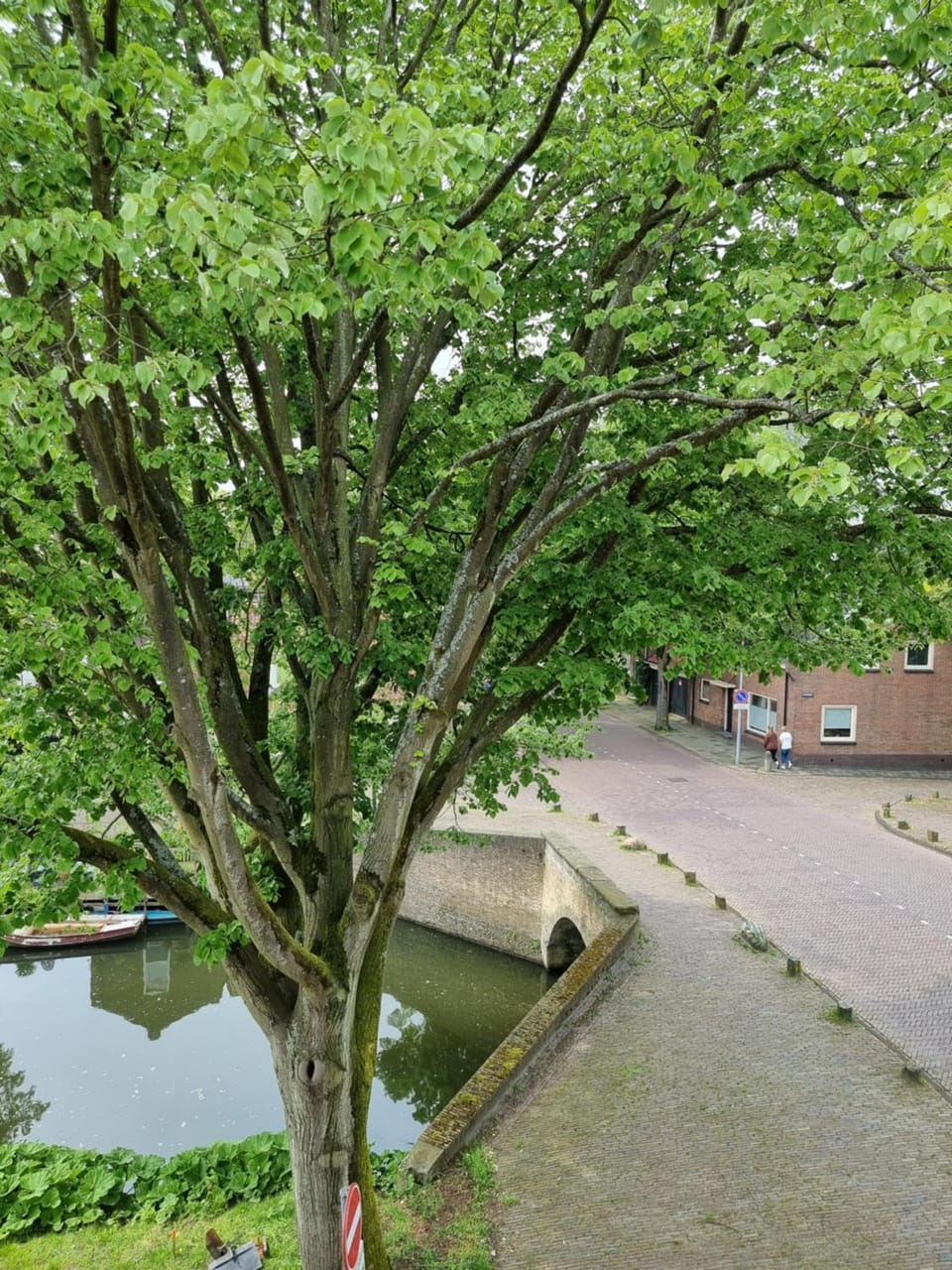 River view