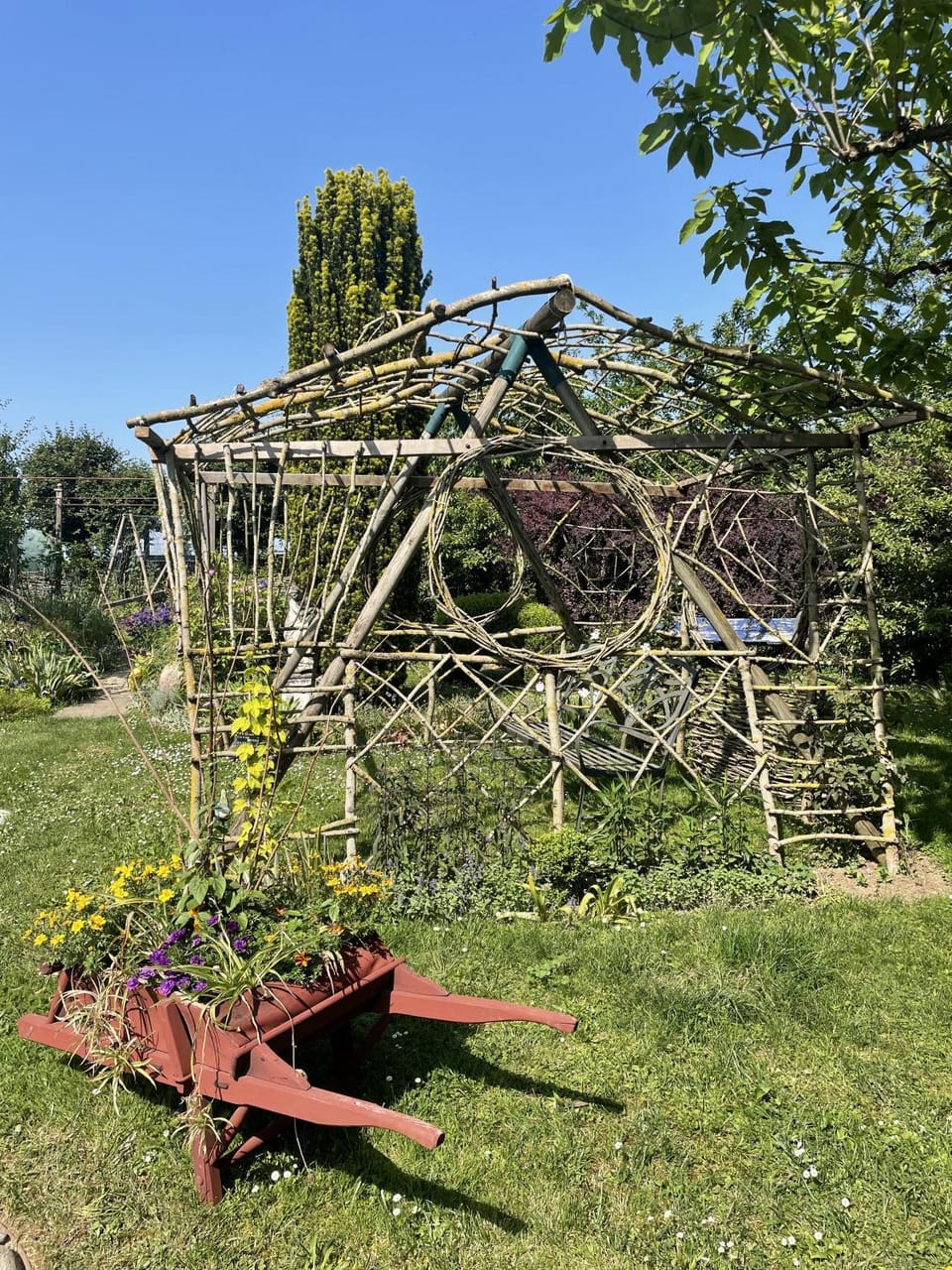 Garden view