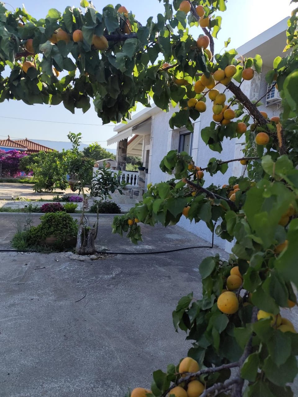 Grey house Apartment in Samos, Greece